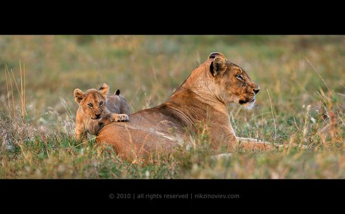 Хорошо, когда есть на кого положиться!