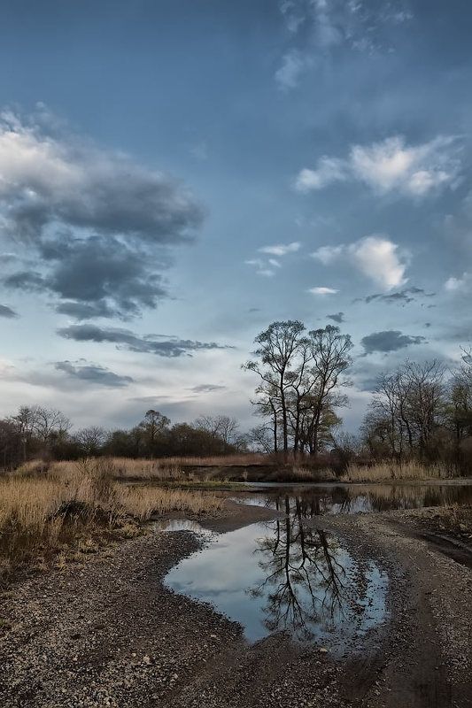 * фото превью