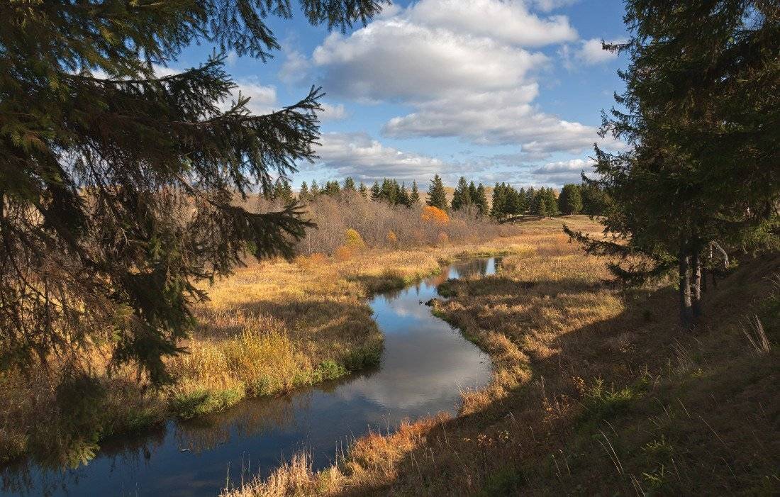 речка, изгибы, трава, лес, облака, отражения, осень, Георгий Машковцев