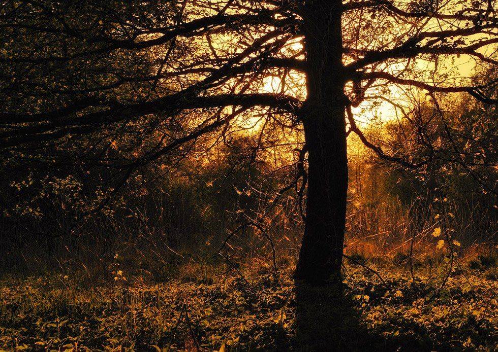 , Александр