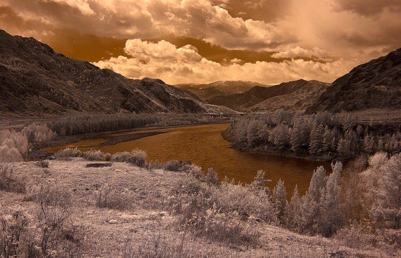 ir Катунь (в ИК) фото превью