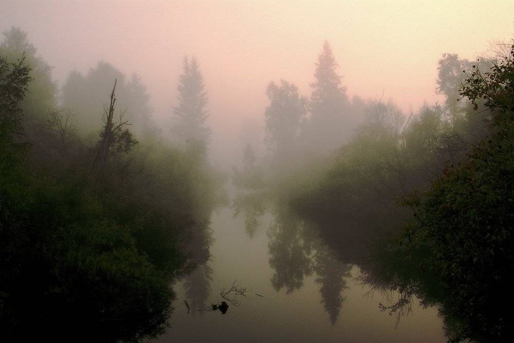 , Николай Морский