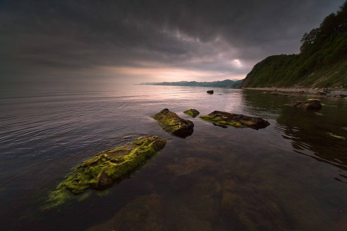 черное, море, утро, весна, штиль, Николай Мысливцев