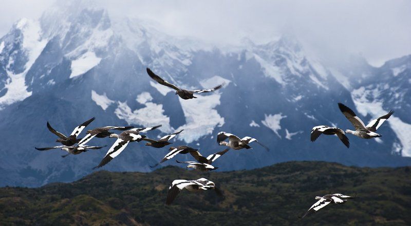 чили, патагония, торес дель пайне Небо - наш родимый дом. фото превью