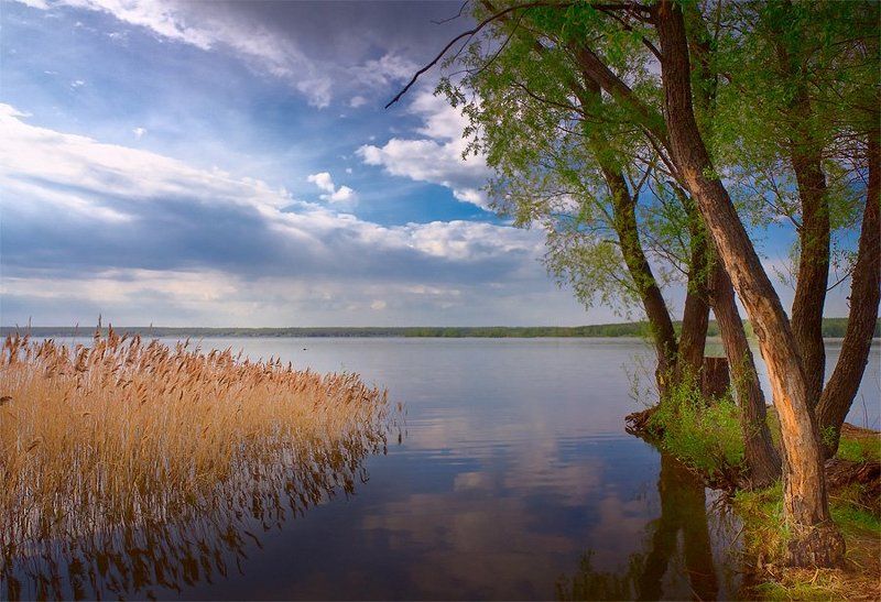 САДОВКА. фото превью