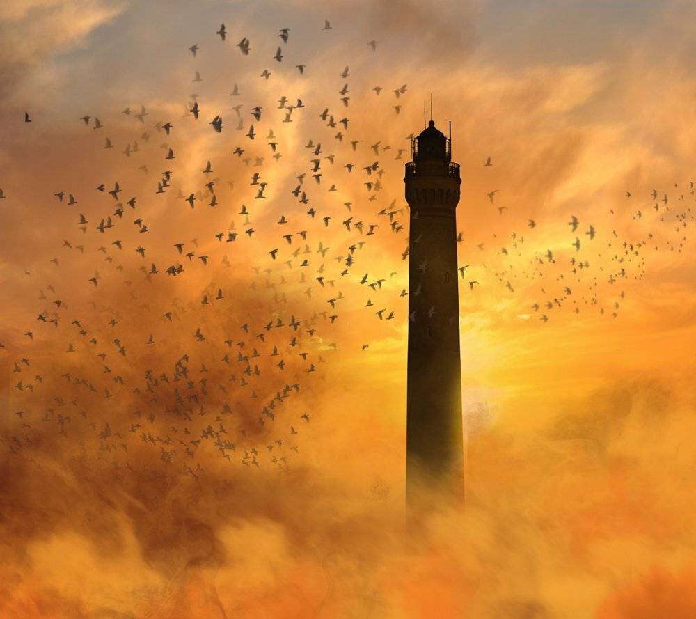 mist, fog, birds, reflection, light, clouds, orange, hous, lighthout, Caras Ionut