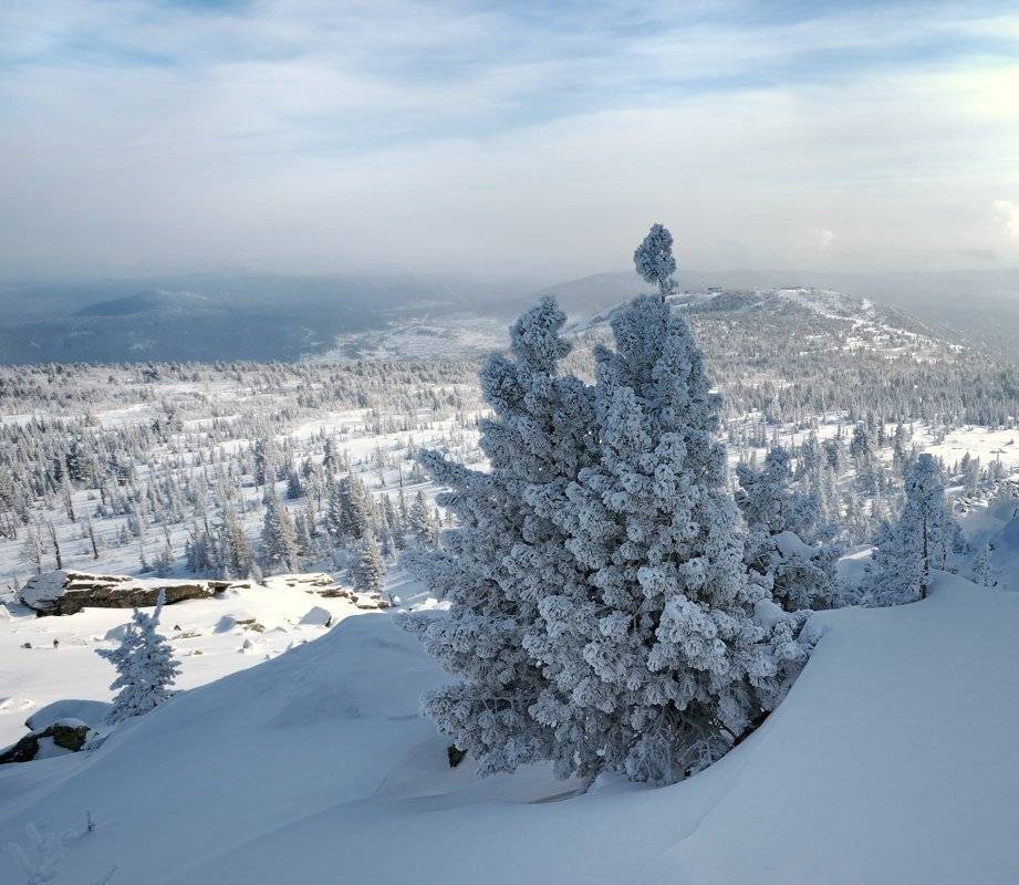 , Сергей Седов