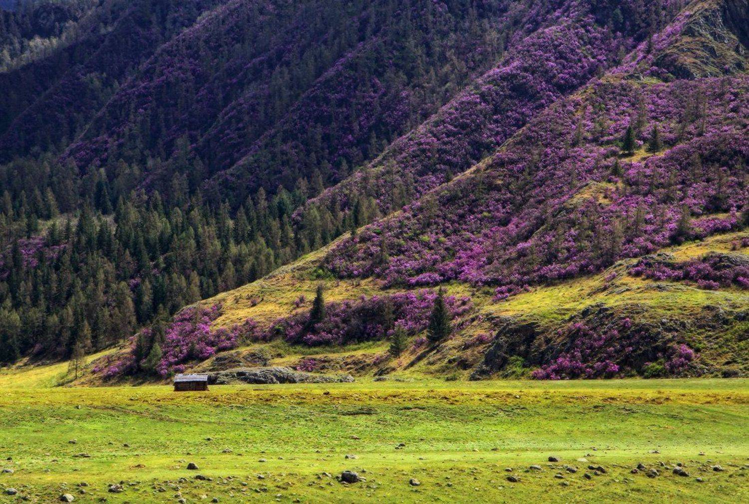 , Галина Хвостенко