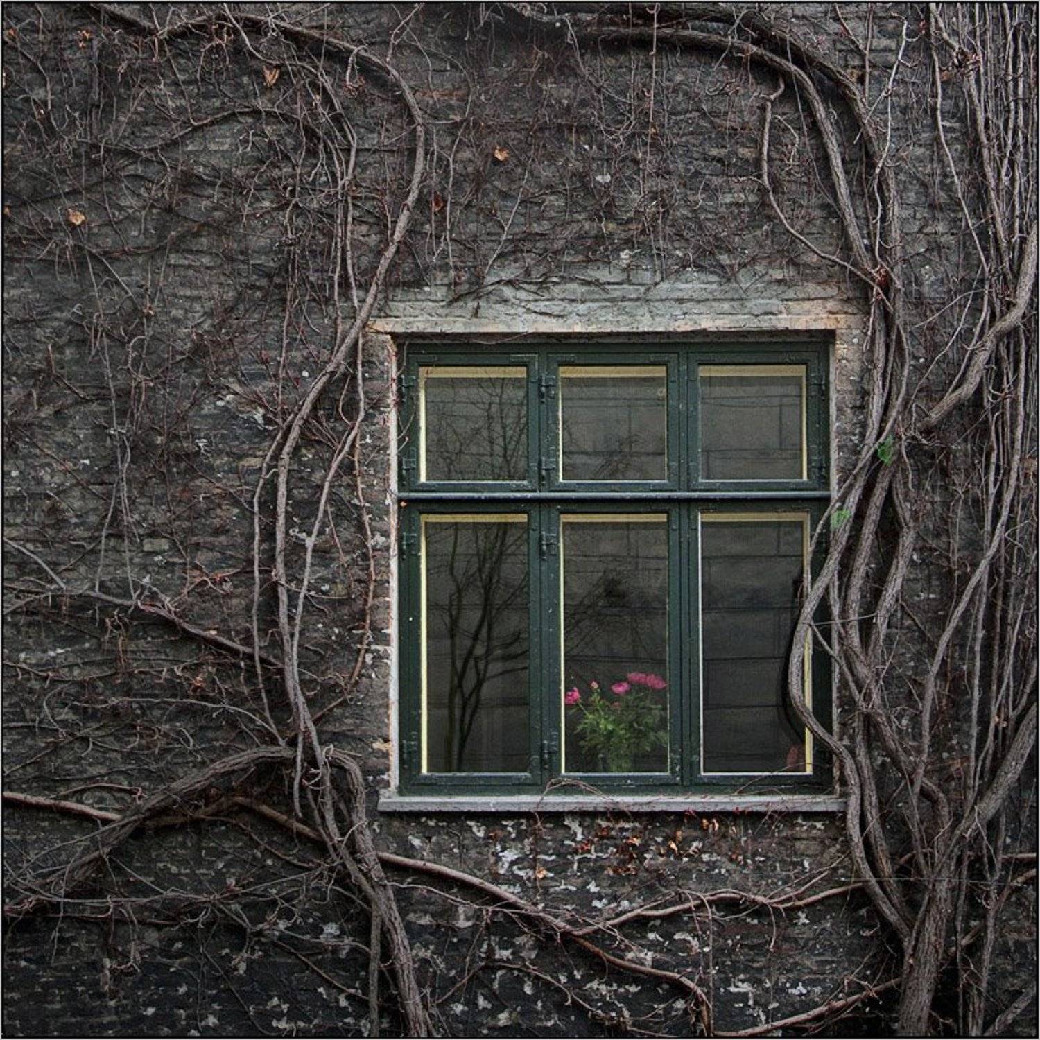 , Лариса Гурьева