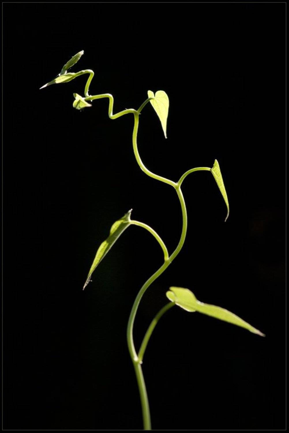 свет, Екатерина (PhotoJourneys.ru) Васягина