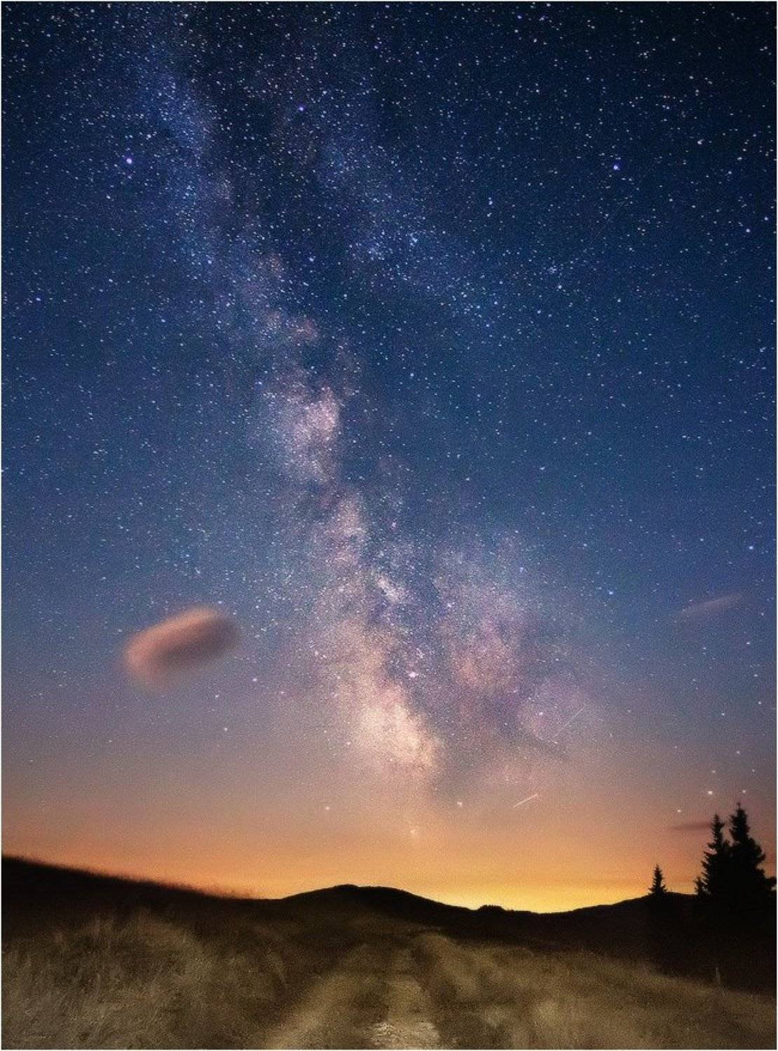 , Денис Кривой