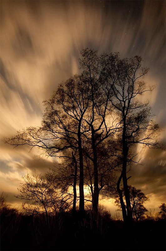 * фото превью