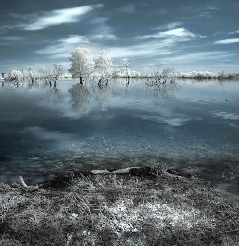 Половодье фото превью