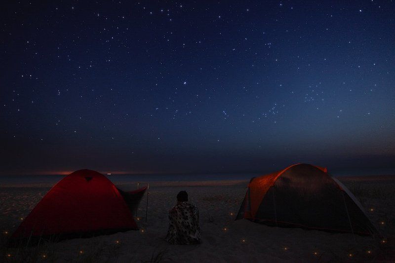 gone, too, soon Gone Too Soon фото превью