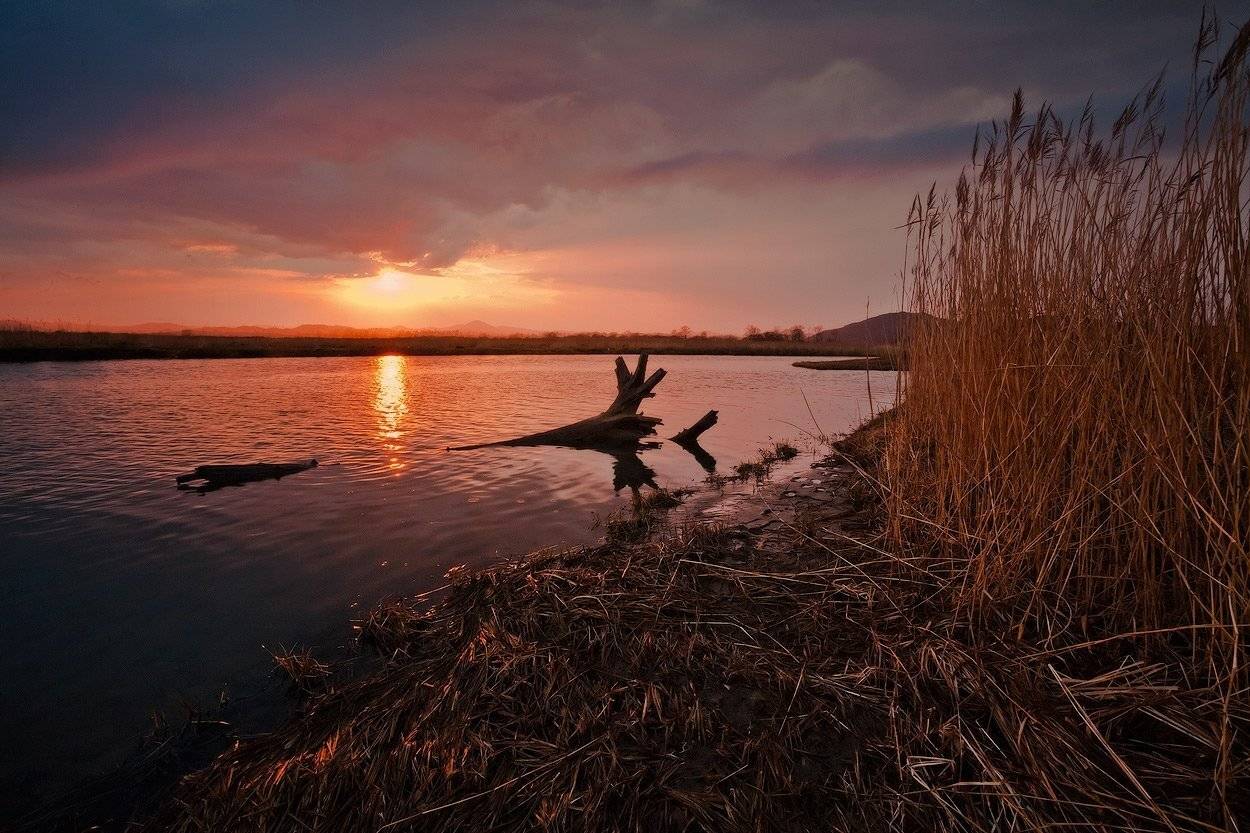 вечер, солнце, закат, река, вода, трава, Андрей Кровлин