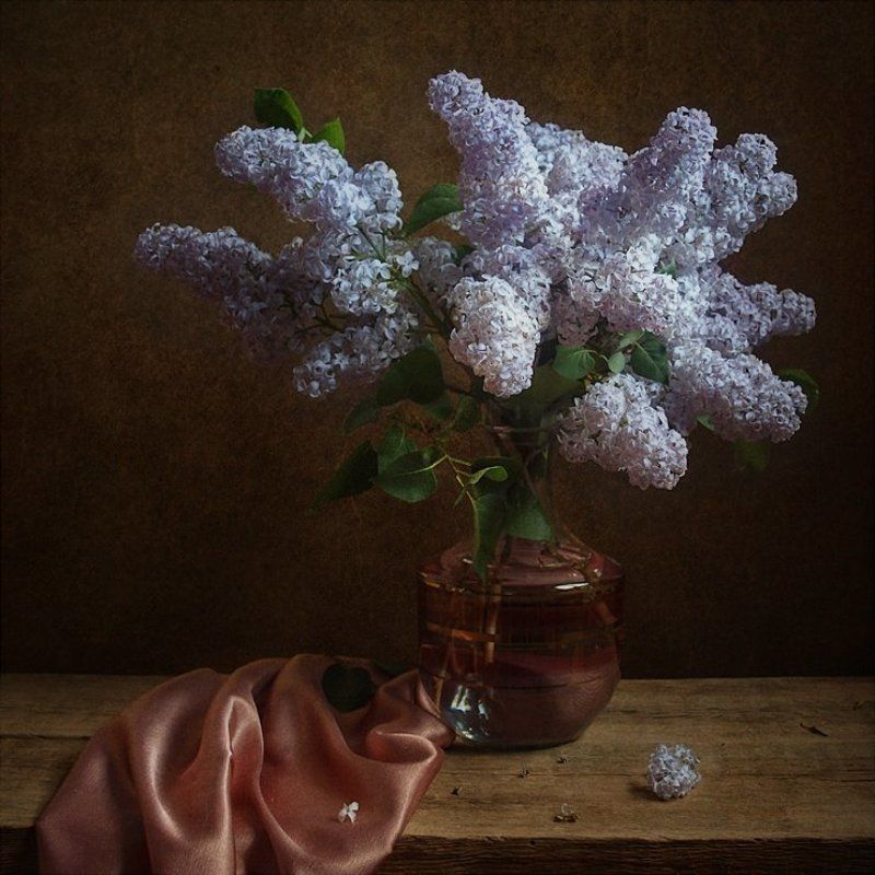 Ещё раз о сирени фото превью