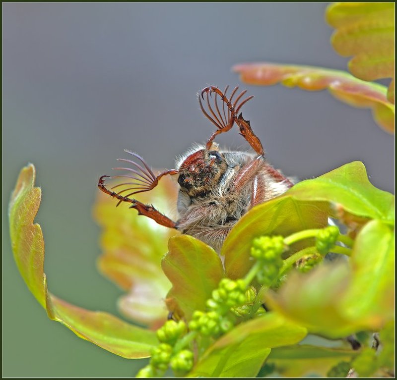 Всем привет! фото превью