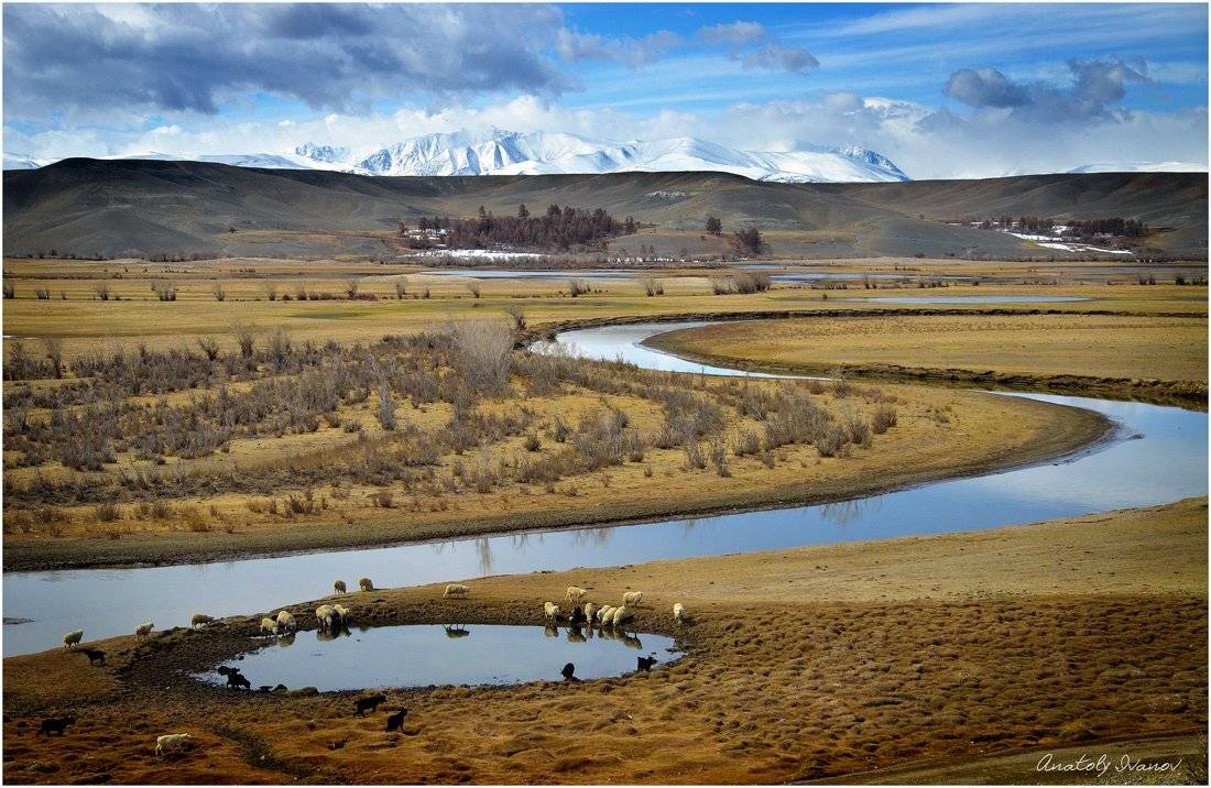 горный алтай, южно-чуйский хребет, Анатолий Иванов