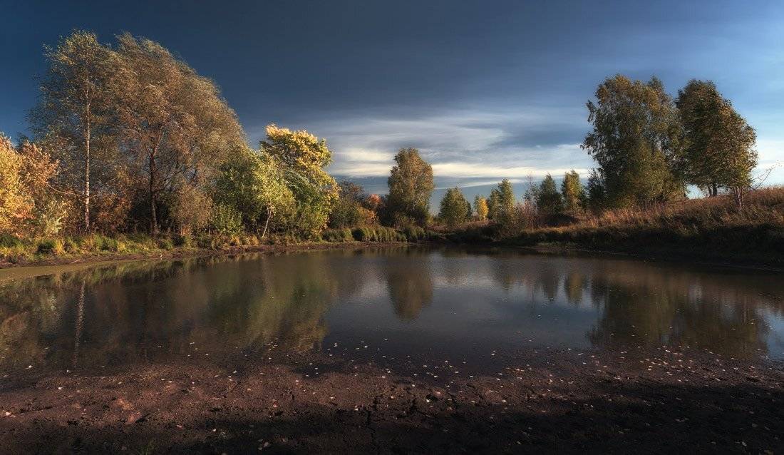 озеро, листья, деревья, лес, ветер, облака, осень, Георгий Машковцев