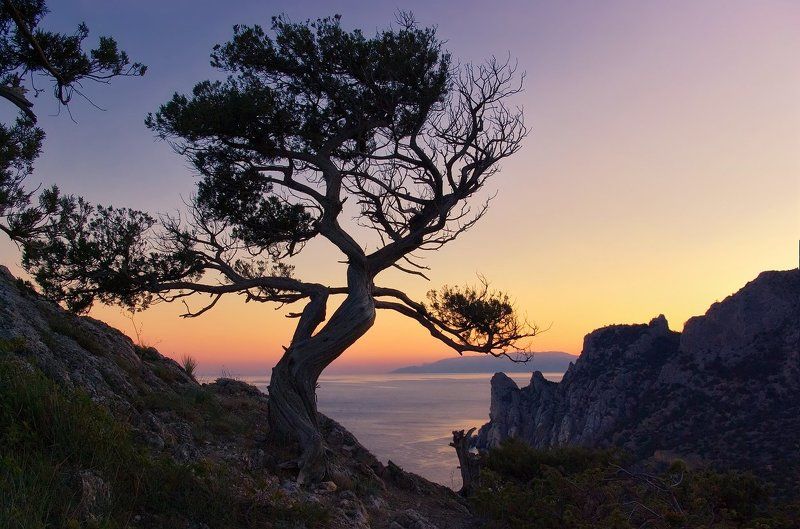 Good night фото превью