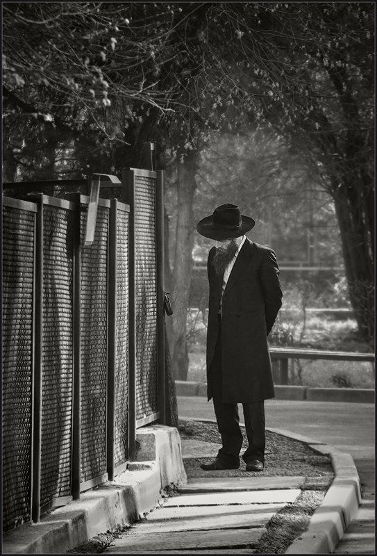 В Алма-Атинском зоопарке ... фото превью