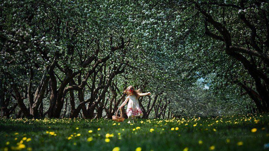 , Павкина Зоя