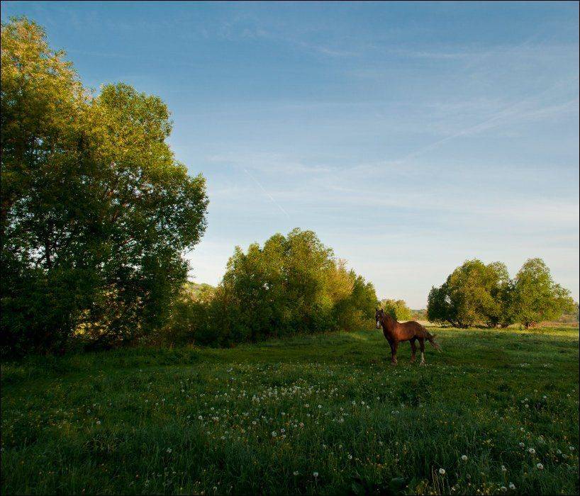 , Полищук И.В.