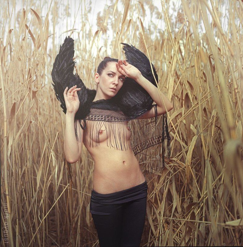 swan фото превью