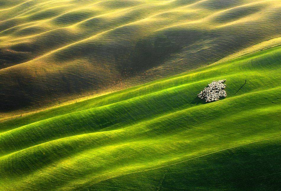 tuscany, crete senesi, Krzysztof Browko