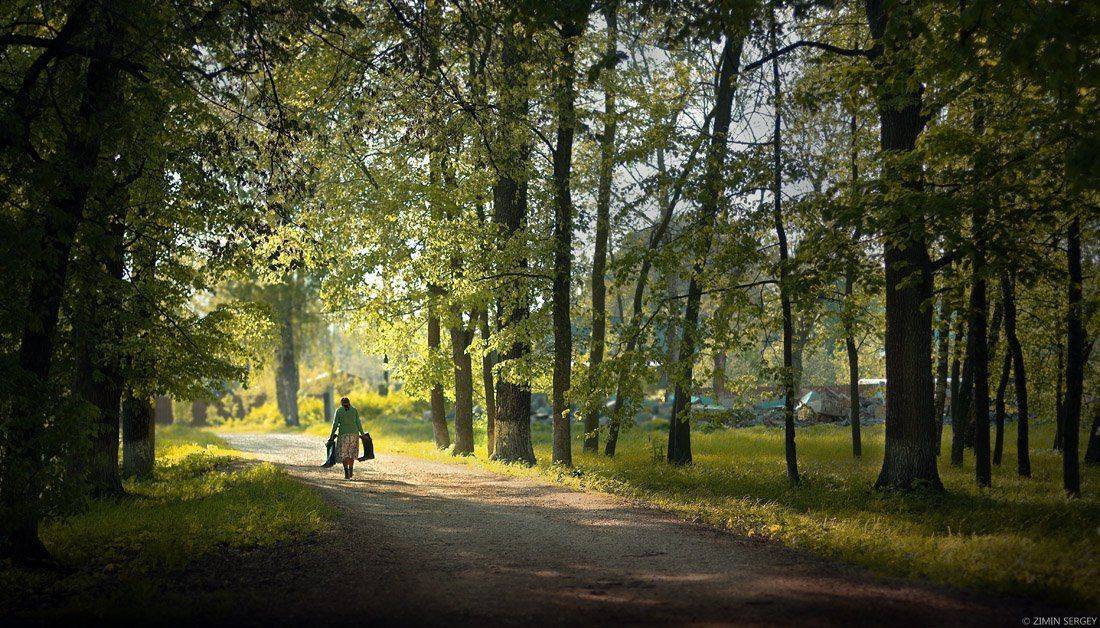 россия, тула, богучарово, село, деревня, весна, природа, май, жанр, пейзаж, Сергей Зимин