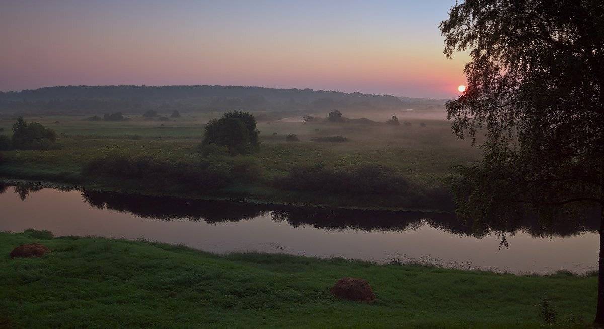 тригорское, Андрей Леонидович