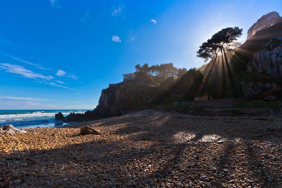 , Людмила Прокофьева