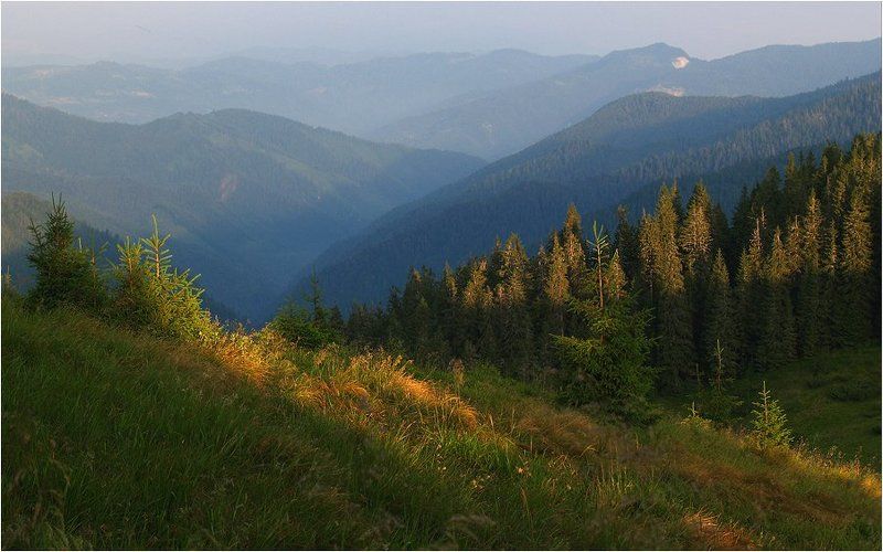 прикосновение утра фото превью