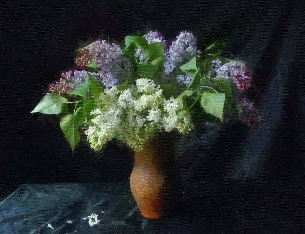 still, life, , lilac, Юлия Володина