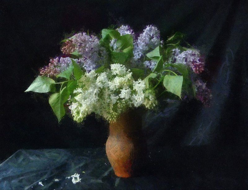 still, life, , lilac still life with a lilac фото превью