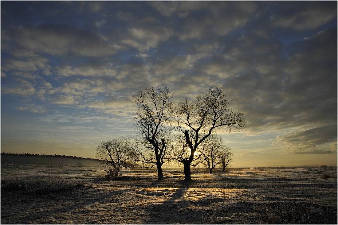 , Кутыгин Эдуард