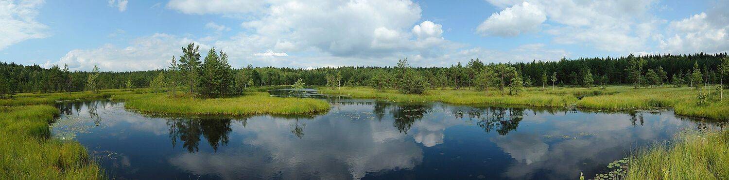 , Сергей Седов