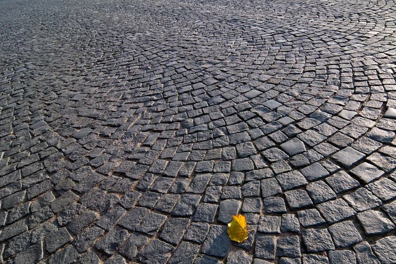 осень Петербург фото превью