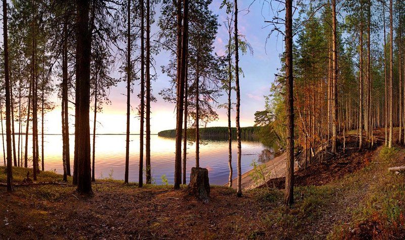 вечером, вдоль, озера Вечером вдоль озера фото превью