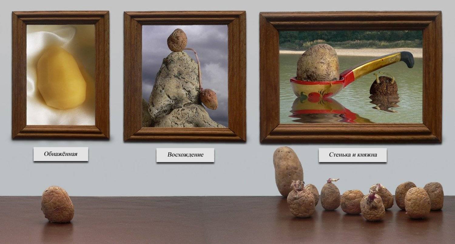 , Нина Гулиманова