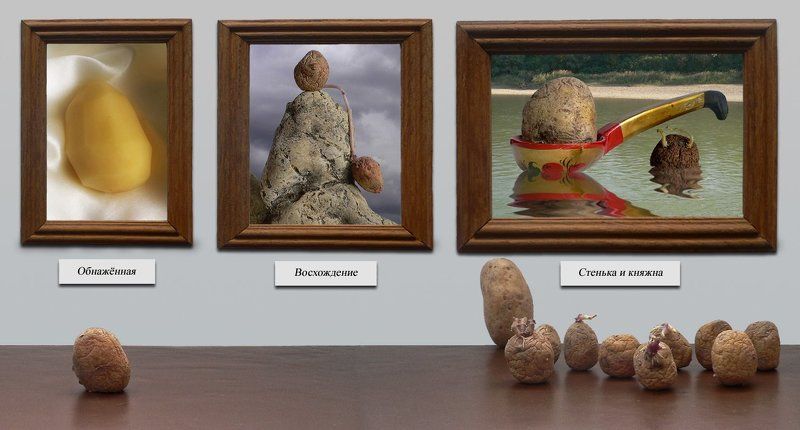 В художественном музее фото превью