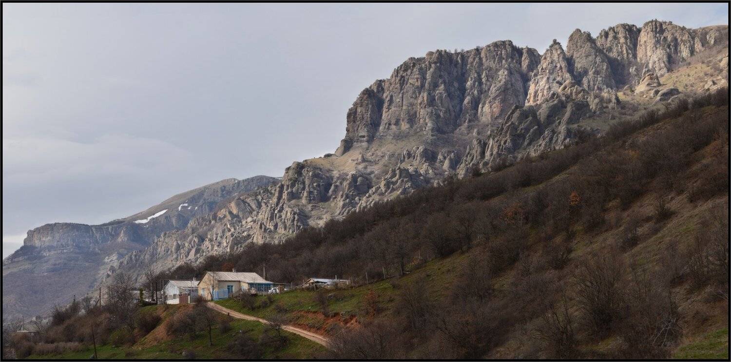 , Владимир Метцгер