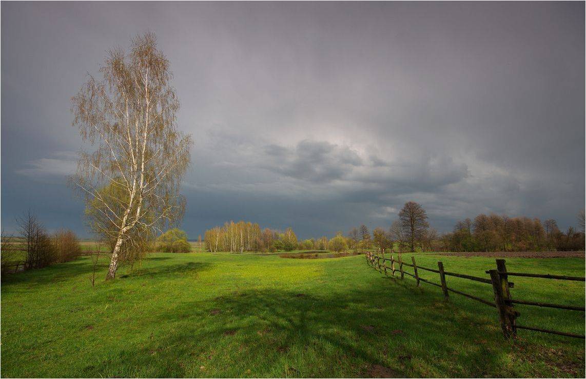 , Володимир Карчевський