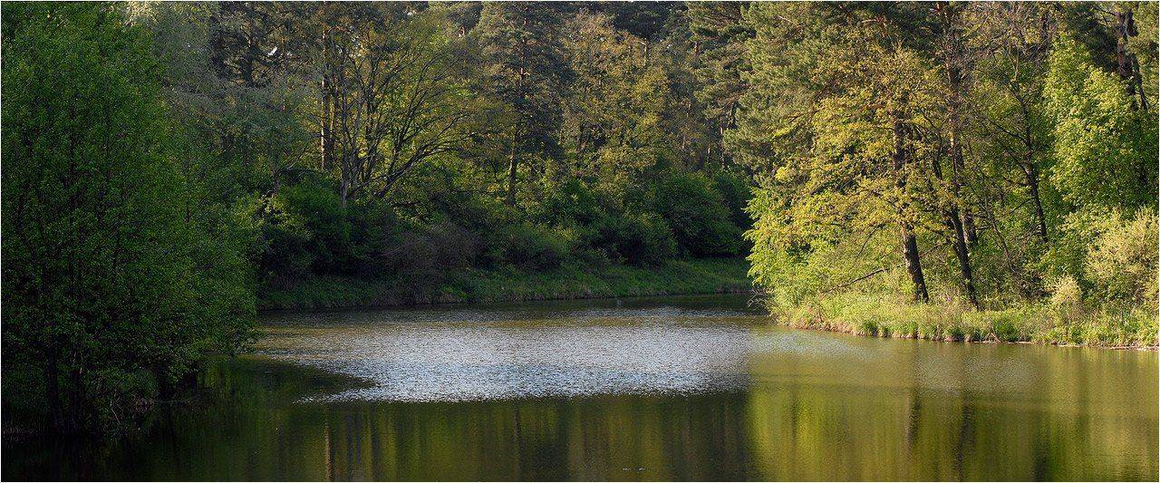 , Николай Шахманцир