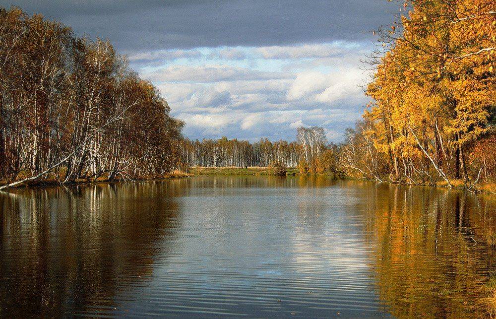 , Николай Морский