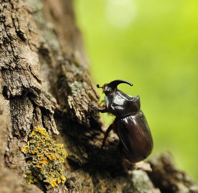 , Александр
