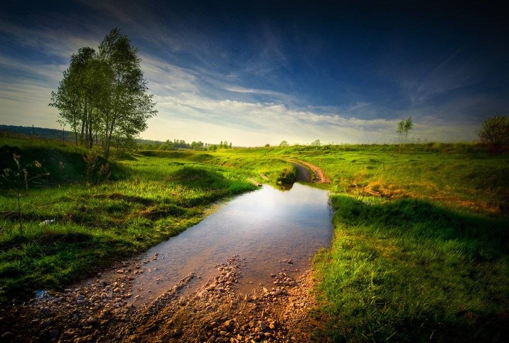 , Сергей Зимин