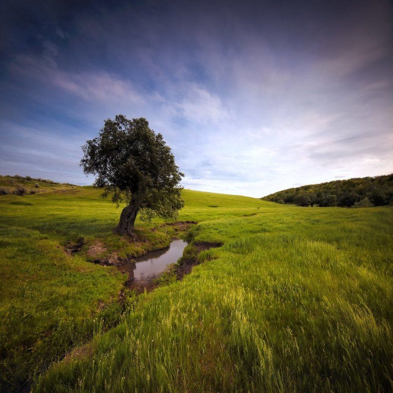 *** фото превью