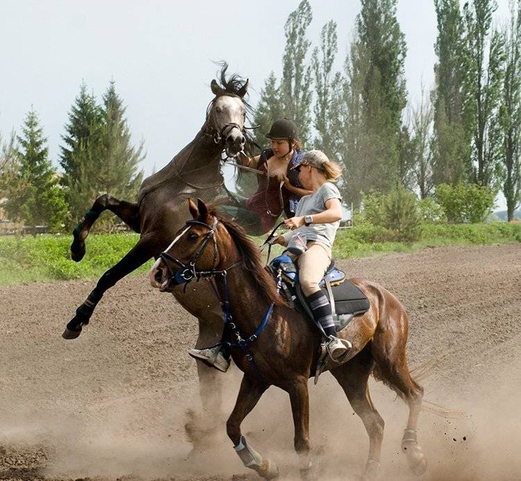 , Владимир Белый