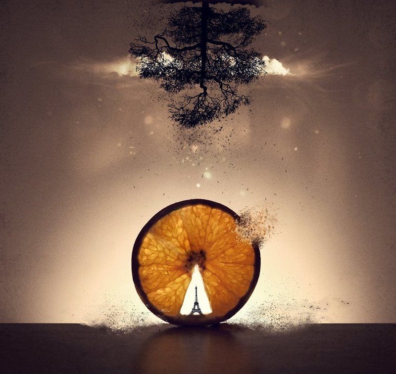 orange,tower,paris,clouds,tree,photo,art,digital,vladimir,shipulin,фото,арт,владимир,шипулин,апельсин,сюр,сюрреализм,surrealism,башня,париж,облако,дерево Зима в Париже... фото превью